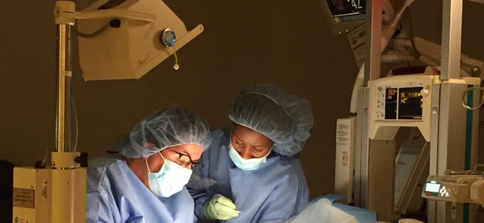 The NICU staff