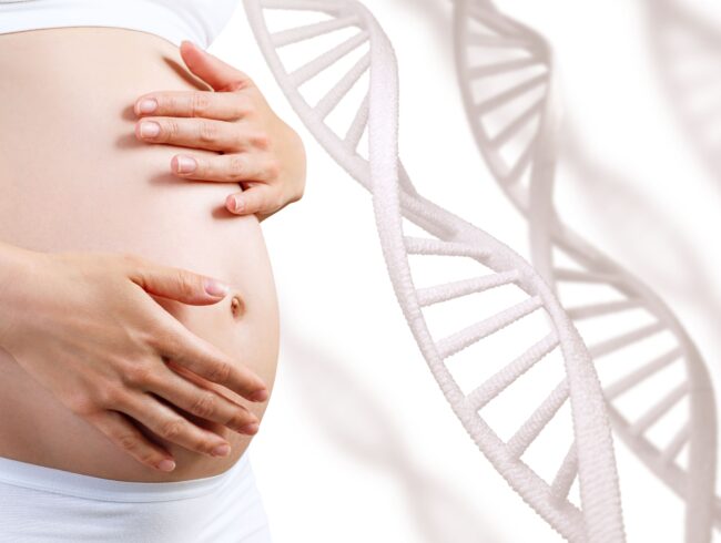 Discovery of new genes for molar pregnancies sheds light on their increased incidence in women aged 35 and over
