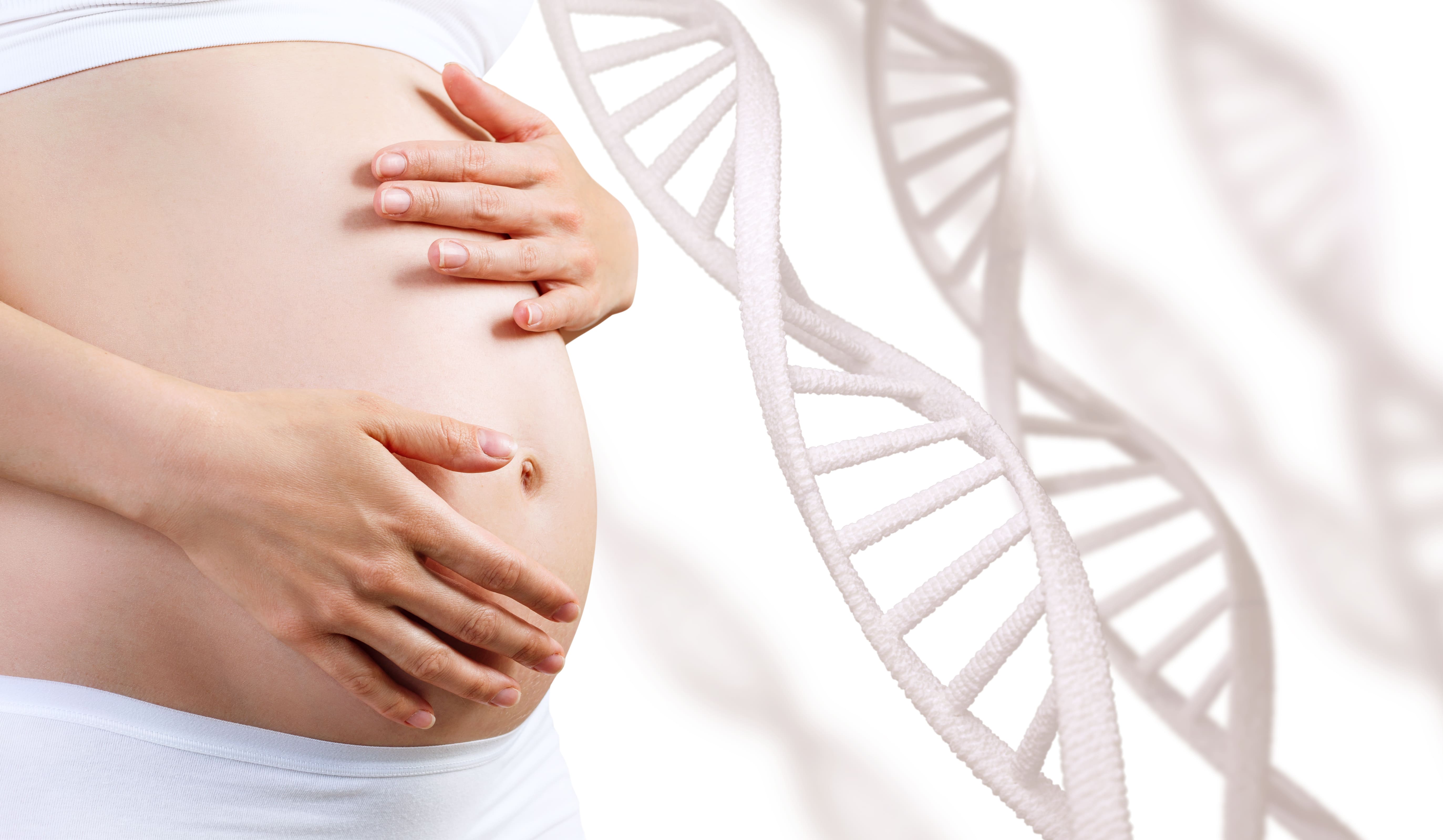 Discovery of new genes for molar pregnancies sheds light on their increased incidence in women aged 35 and over